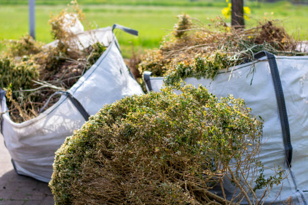 Trusted Laupahoehoe, HI Junk Removal Experts